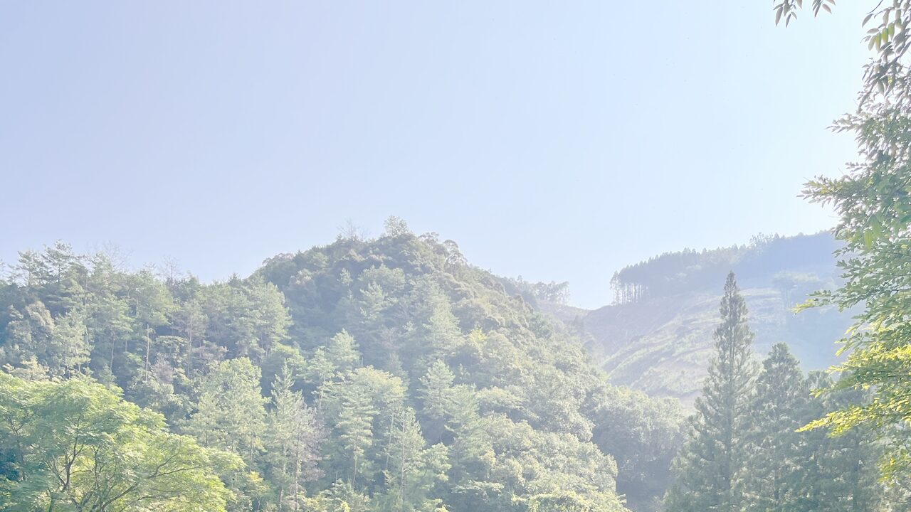 春の延岡市で注意が必要な光化学オキシダント（光化学スモッグ）と花粉症の症状の違いや、夜間発令の危険性を警告する解説